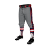 3623 MENS BASEBALL KNICKER PANT VIPERS-RETRO-TRANS-SPONSOR