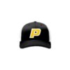 3637 R/P FLEX FIT CAP 172 OHIO-PASSION-1