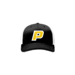 3637 R/P FLEX FIT CAP 172 OHIO-PASSION-1
