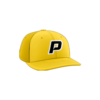 3637 R/P FLEX FIT CAP PTS30 OHIO-PASSION-1