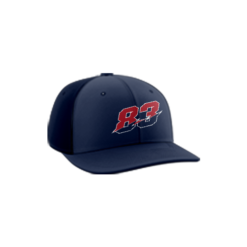 3659 R/P FLEX FIT CAP PTS30 LADY-83-1