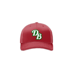 1256 R/P FLEX FIT CAP 172 DROPPIN-BOMBS-1