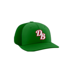 1256 R/P FLEX FIT CAP PTS30 DROPPIN-BOMBS-1