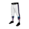 3631 MENS BASEBALL KNICKER PANT SANDLOT-SLOTHS-2B