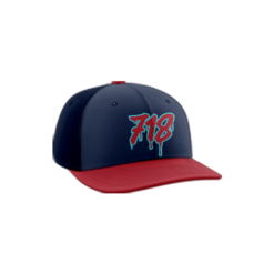 3642 R/P FLEX FIT CAP PTS30 718-1