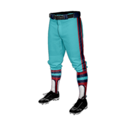 3642 MENS BASEBALL KNICKER PANT 718-1