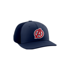 3153 R/P FLEX FIT CAP PTS30 AWESOME-BALLS-1