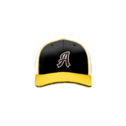 3640 R/P FLEX FIT CAP 172 AZTECS-1
