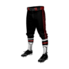 3641 MENS BASEBALL KNICKER PANT KRAKENS-1