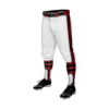 3641 MENS BASEBALL KNICKER PANT KRAKENS-2