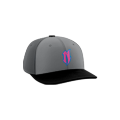 3440 R/P FLEX FIT CAP PTS30 NASTY-1A