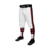 2302 MENS BASEBALL KNICKER PANT DTA-2
