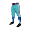 2898 MENS BASEBALL KNICKER PANT SPIDERZ-HAWAIIAN-2