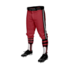 3290 MENS BASEBALL KNICKER PANT LOCAL-189-2023-1
