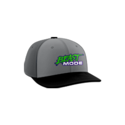 3664 R/P FLEX FIT CAP PTS30 FAYETTE-COUNTY-BEAST-ADD