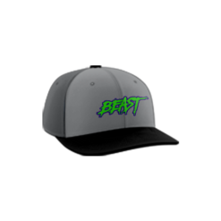 3664 R/P FLEX FIT CAP PTS30 FAYETTE-COUNTY-DIAMOND-BEAST-1