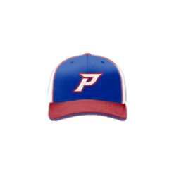 3690 R/P FLEX FIT CAP 172 PEEBLES-1