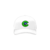 3684 R/P FLEX FIT CAP 172 COMPLICATED-BOGEY-PURPLE