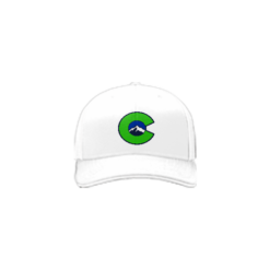 3684 R/P FLEX FIT CAP 172 COMPLICATED-BOGEY-PURPLE