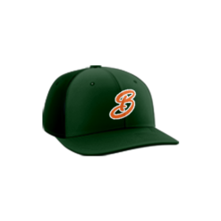 3669 R/P FLEX FIT CAP PTS30 BOMBERS-1