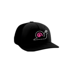 3667 R/P FLEX FIT CAP PTS30 SLOWPOKES-1