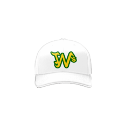 3676 R/P FLEX FIT CAP 172 WHATEVER-SOFTBALL-1