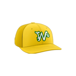 3676 R/P FLEX FIT CAP PTS30 WHATEVER-SOFTBALL-1