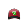 3677 R/P FLEX FIT CAP 172 GOJIRA-1