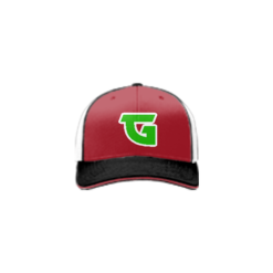 3677 R/P FLEX FIT CAP 172 GOJIRA-1