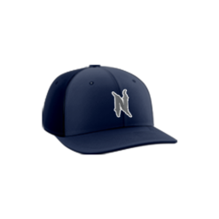 3679 R/P FLEX FIT CAP PTS30 ST-LOUIS-NIGHTMARE-1