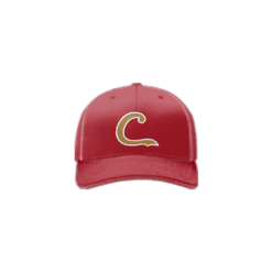 3674 R/P FLEX FIT CAP 172 CARDINALS-1