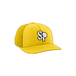 3682 R/P FLEX FIT CAP PTS30 SLAPPIN-PITCHES-1