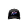 3618 R/P FLEX FIT CAP 172 PERFECT-STORM-2