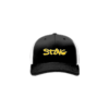 3680 R/P FLEX FIT CAP 172 WV-STING-1