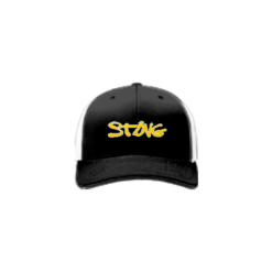 3680 R/P FLEX FIT CAP 172 WV-STING-1