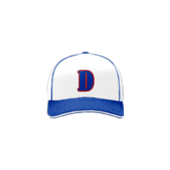 2395 R/P FLEX FIT CAP 172 DUTCHS-ADDON