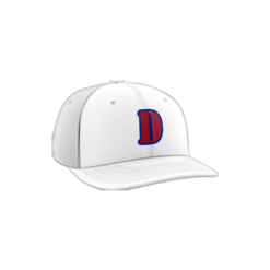 2395 R/P FLEX FIT CAP PTS30 DUTCHS-ADDON