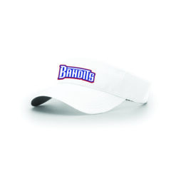 2469 RICHARDSON R160 VISOR