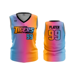 2573 WOMENS V NECK SLEEVELESS CENTRAL-OHIO-TIGERS-BLEND-1