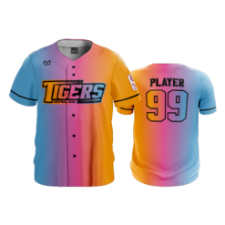 2573 MENS FULL BUTTON DOWN CENTRAL-OHIO-TIGERS-BLEND-1
