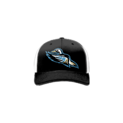 3700 R/P FLEX FIT CAP 172 MALLARDS-1