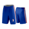 2395 RAZOR SHORT 11in INSEAM DUTCHS-ADDON