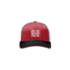 3693 R/P FLEX FIT CAP 172 DGD-FOODS-1
