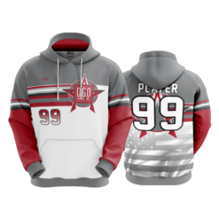 3693 UNISEX FLEECE HOODY DGD-FOODS-2