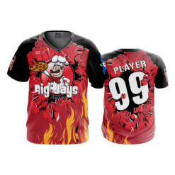 3687 MENS SPORT V NECK BIG-JAYS-ONLY-1