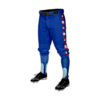 3701 MENS BASEBALL KNICKER PANT DRAFT-USA-STRIPED-1