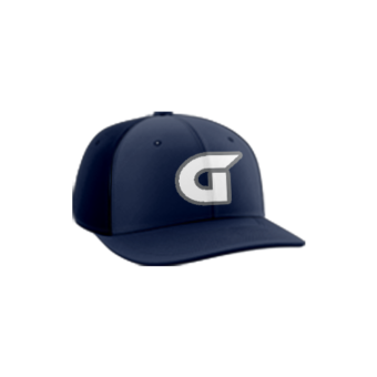 3379 R/P FLEX FIT CAP PTS30 GAMERS-1
