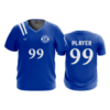 2530 MENS SPORT V NECK