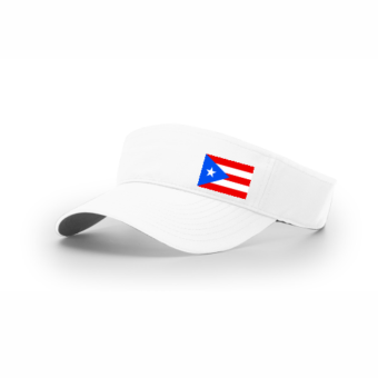 3699 RICHARDSON R160 VISOR