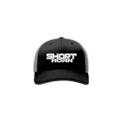 3705 R/P FLEX FIT CAP 172 SHORT-HORN-1